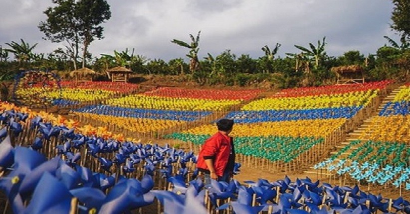 Wisata Instagramable Kota Batu, Lihat Kincir Angin Warna-warni Mirip di Belanda