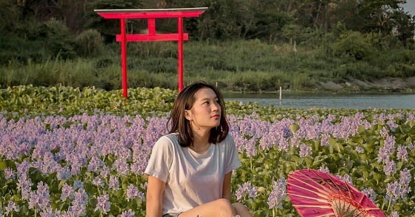 Wisata Yogyakarta, Ada Kalinampu Natural Park yang Viral Mirip di Jepang