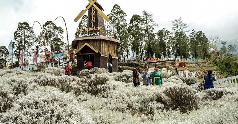 Festival Pesona Edelweis Jadi Daya Tarik Wisatawan Berkunjung ke Karangasem