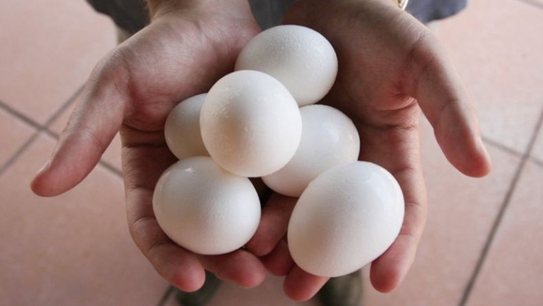 Pria India Meninggal akibat Jalani Tantangan Makan 50 Butir Telur Mentah