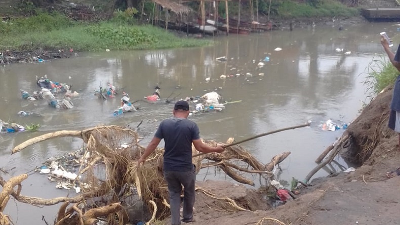 Puluhan Bangkai Babi Kembali Mengambang di Sungai Bederah Medan