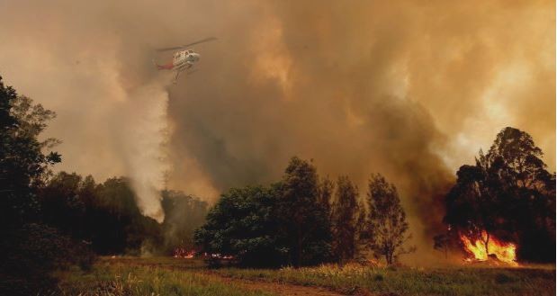 Kebakaran Semak Makin Parah, Pemerintah Sydney Australia Umumkan Keadaan Darurat