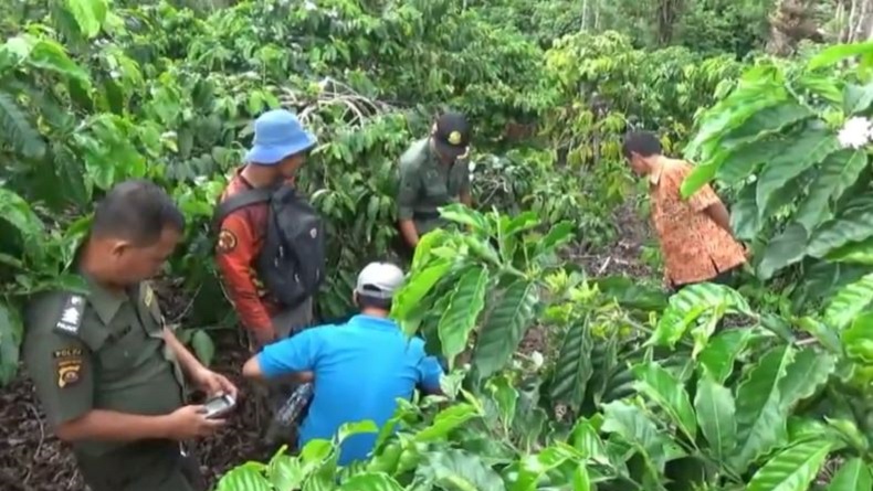 BKSDA Telusuri Jejak Harimau di Kawasan Wisata Gunung Dempo Pagaralam