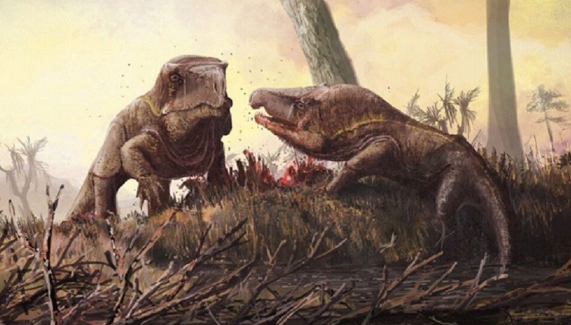 Reptil Zaman Triassic Ini Punya Kepala Besar, Begini Penjelasannya