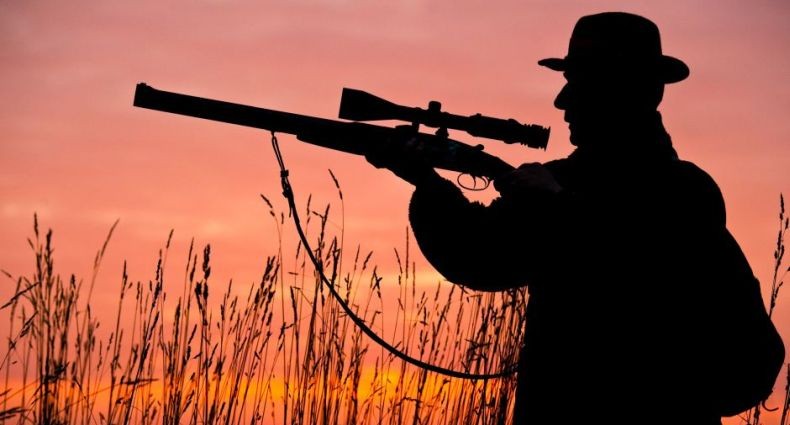 Pria di Malaysia Tembak Teman hingga Tewas saat Berburu karena Dikira Musang