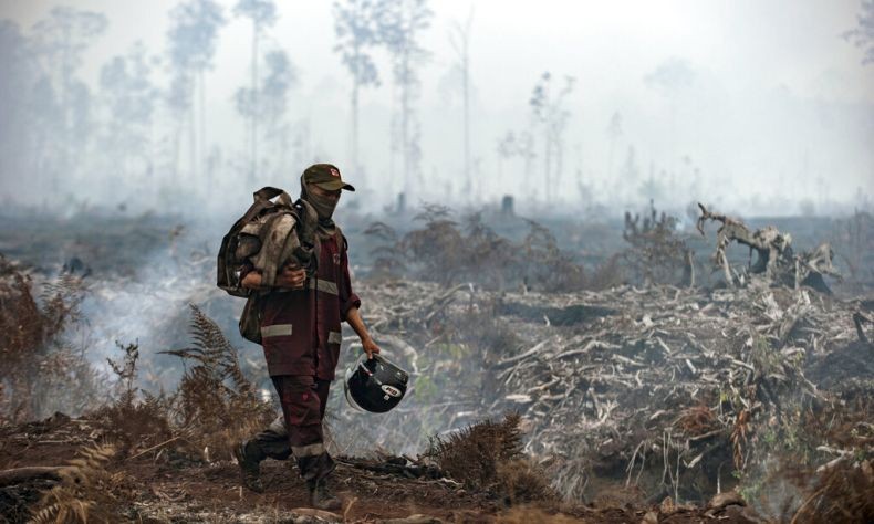Uni Eropa Sebut Karhutla di Indonesia Lebih Berbahaya Dibanding Kebakaran Hutan Amazon