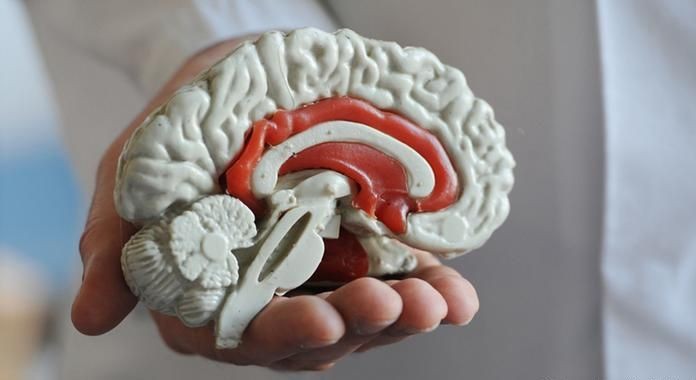 Singapura Luncurkan Bank Otak Pertama, Siapa Mau Jadi Donor?