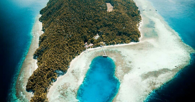 Keseruan Wisata di Pulau Kri Raja Ampat, Bisa Berenang dengan Ikan Warna-warni & Hiu