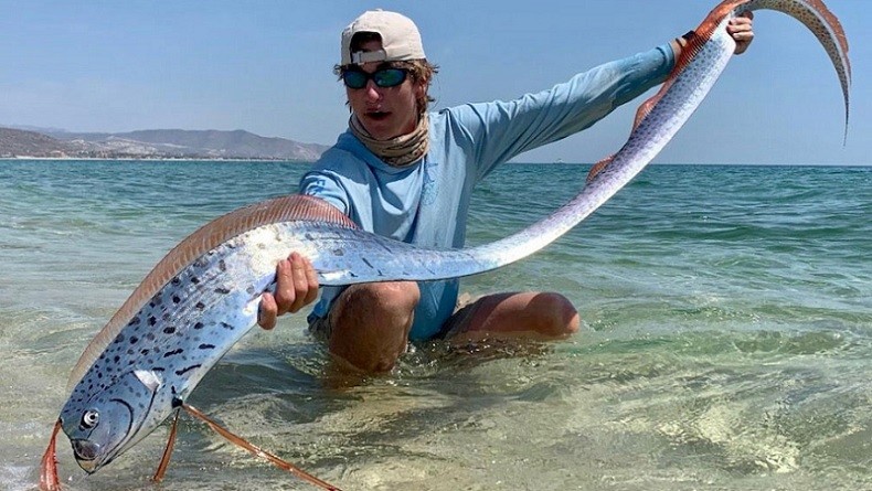 Cerita Awal Mula Oarfish Dihubung-hubungkan dengan Gempa dan Tsunami
