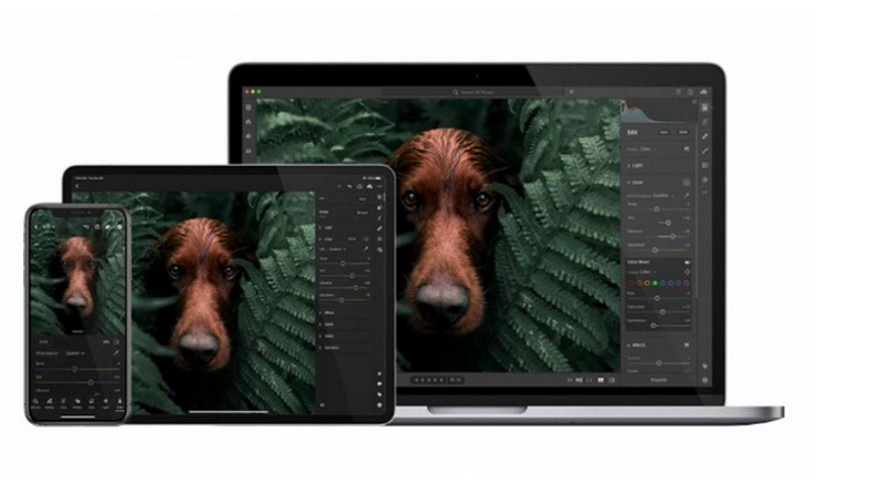 Adobe Lightroom di iOS Kini Punya Kemampuan Direct Import