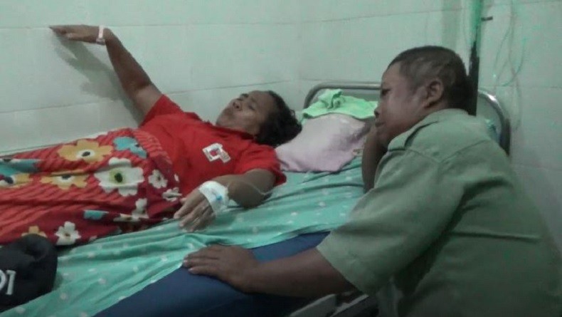 Pasutri di Boyolali Disengat Tawon Vespa Affinis saat Mencari Rumput di Kebun