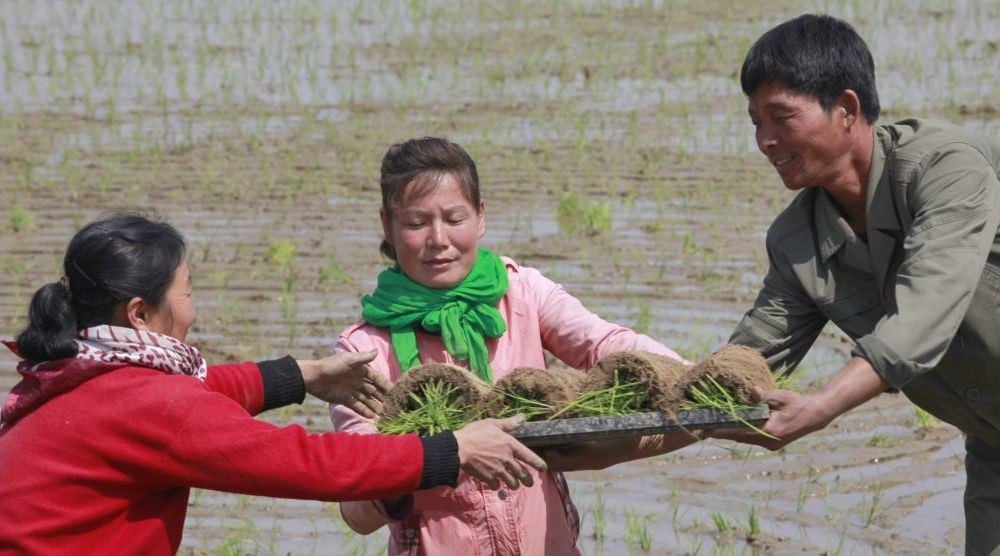 Penyandang Disabilitas di Korea Utara Berisiko Terdampak Sanksi Internasional