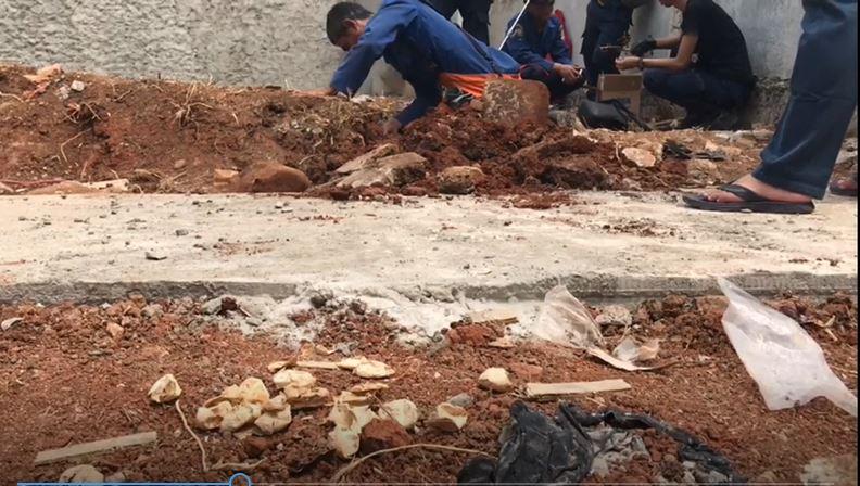Diduga Sarang Ular Kobra, 30 Butir Cangkang Telur Ditemukan di Bekasi