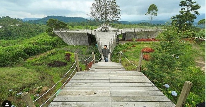 Liburan Tahun Baru di Bandung, Asyiknya ke Teras Bintang Ciwidey Menikmati Kebun Teh & Pegunungan