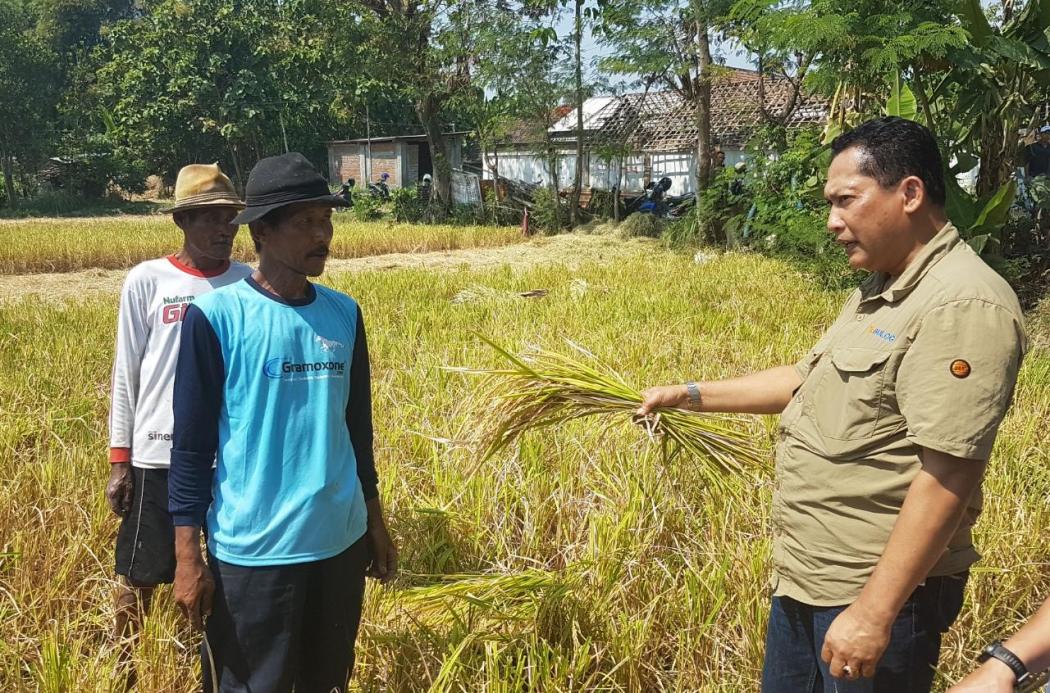 Jelang Pergantian Tahun, Ini Prestasi yang Ditorehkan Bulog Sepanjang 2019