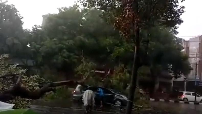 Hujan Angin di Solo, Pohon Tumbang Timpa Mobil dan Ganggu Perjalanan KA