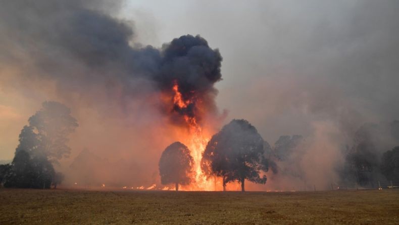 Kebakaran di Australia Semakin Ganas, Ribuan Orang Terjebak di Pantai