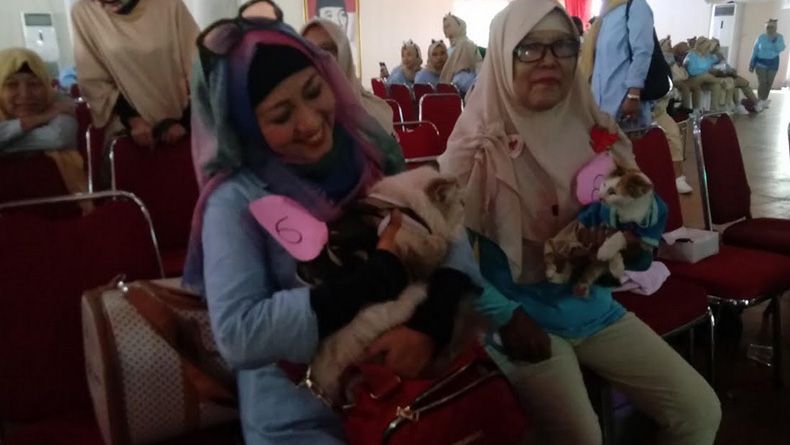 Panitia Sebut Lomba Kucing Mirip Bobby Terinspirasi Kegiatan Prabowo
