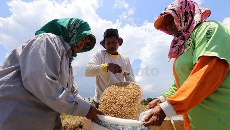 Debat II Pilpres, Ini Cara Atasi Kerawanan Pangan Tanpa Impor
