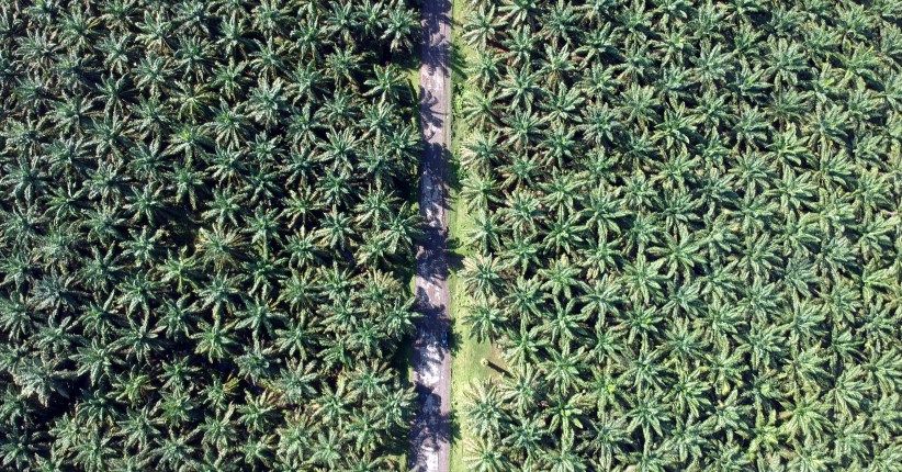 Tukar Posisi, Jatmiko Krisna Jadi Direktur Utama PTPN V