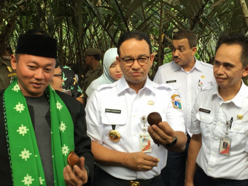 Anies Panen Buah Salak dan Duku Condet Khas Jakarta