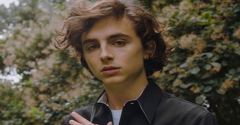 Timothee Chalamet Perankan Bob Dylan untuk Film Biopik Terbaru