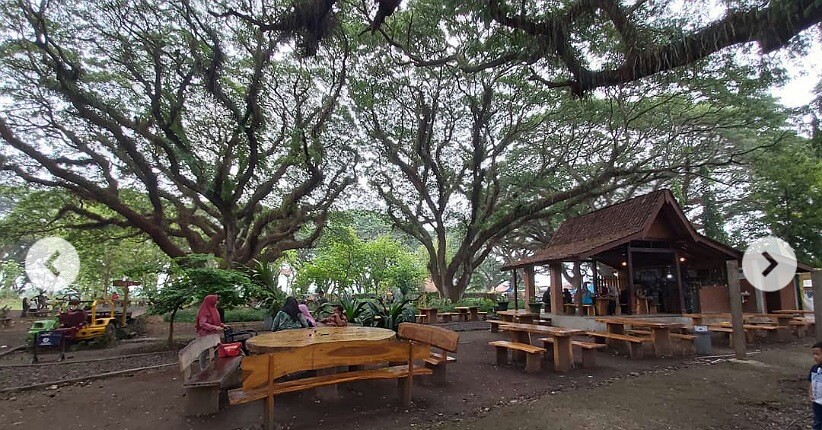 Wisata Hutan Lord of The Rings di Banyuwangi, Eksotis dan Instagramable