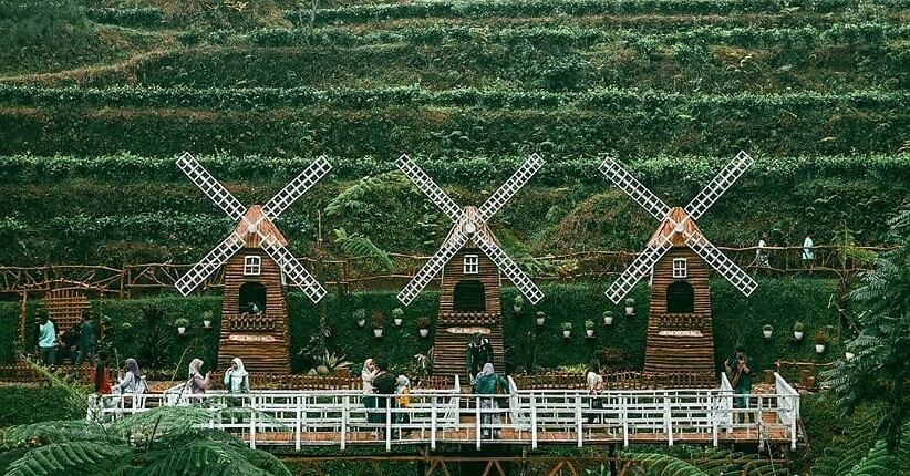 Wisata Instagramable Kebun Teh Pagilaran di Batang, Unik Ada Bangunan Kuno Eropa