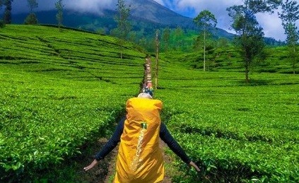 Selain Dataran Tinggi Dieng, Ini Deretan Objek Wisata Keren di Wonosobo 