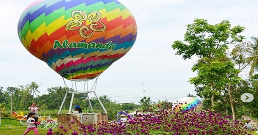 Alamanda Jogja Flower Garden Taman Bunga nan Cantik di Sleman