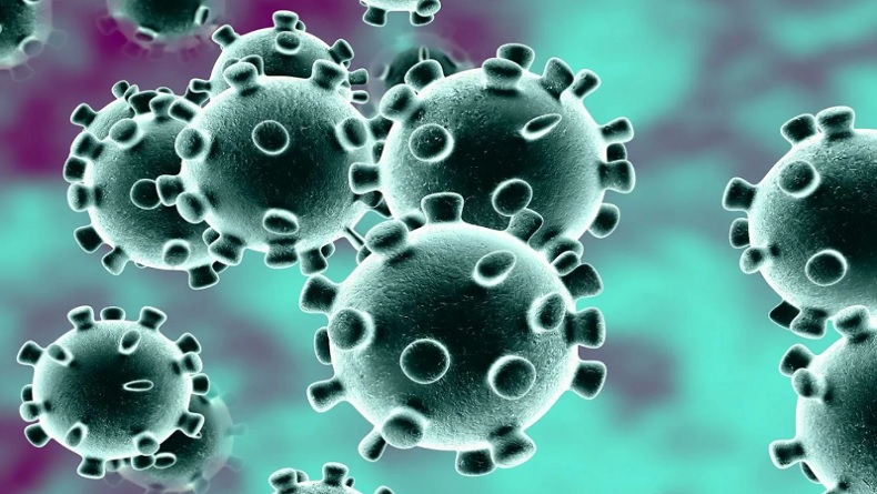 Tips Cegah Virus Korona: Cuci Tangan dengan Alkohol dan Hindari Hewan Liar