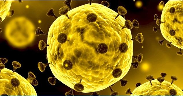 DKI Jakarta Terbanyak Pasien Positif Corona, 2 Kasus Baru Muncul di Papua Barat