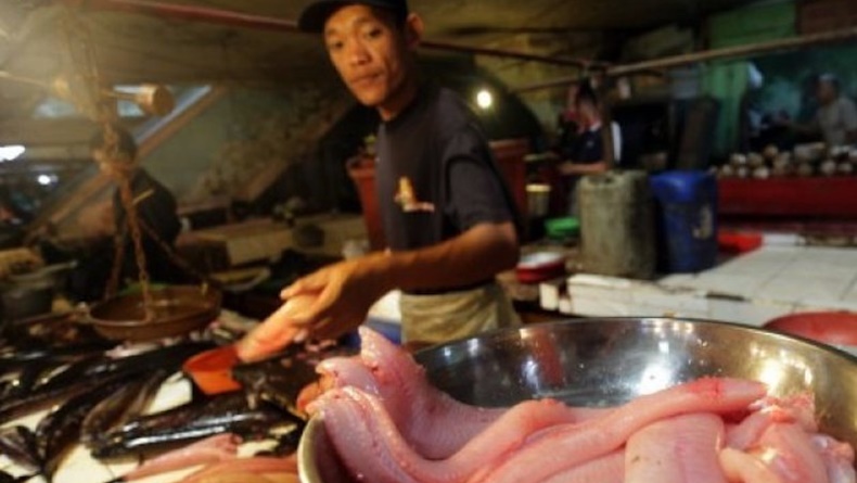 Harga Ikan Gabus di Palembang Dipengaruhi Cuaca, Ramadan dan Lebaran
