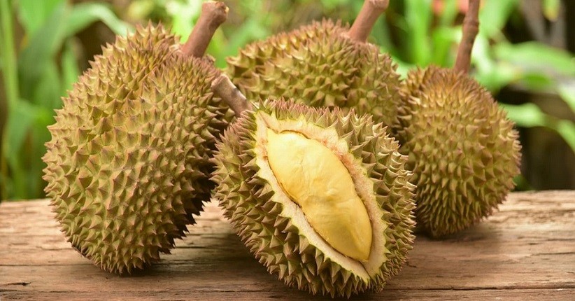 5 Daerah Penghasil Durian Terbaik di Indonesia