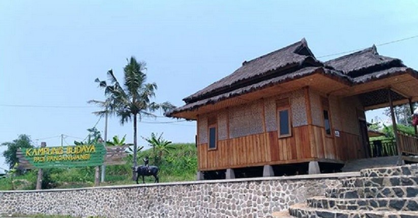 Kampung Budaya Padi Pandanwangi, Wisata Sawah yang Instagramable di Cianjur