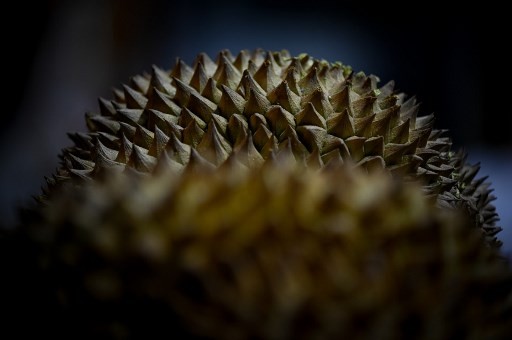 Wabah Virus Korona Merebak di China, Industri Durian dan Pariwisata Malaysia Terguncang