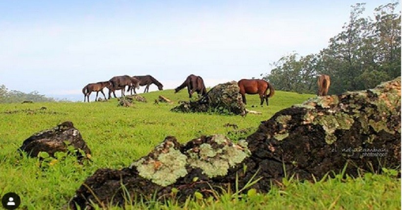 Perbukitan Fatukoto, Selandia Baru di NTT yang Terlihat Eksotis