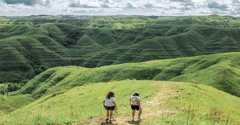 Indahnya Savana Hiliwuku, Bukit Bergelombang Diselimuti Rumput Hijau di Sumba Timur