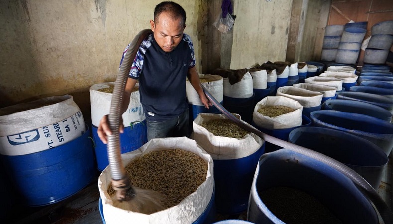 Toge Mas Toge Sukses Berkat KUR BNI