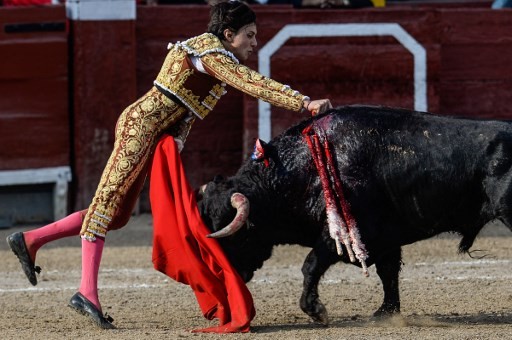 10.000 Orang di Peru Gelar Aksi Dukung Adu Banteng dan Sabung Ayam