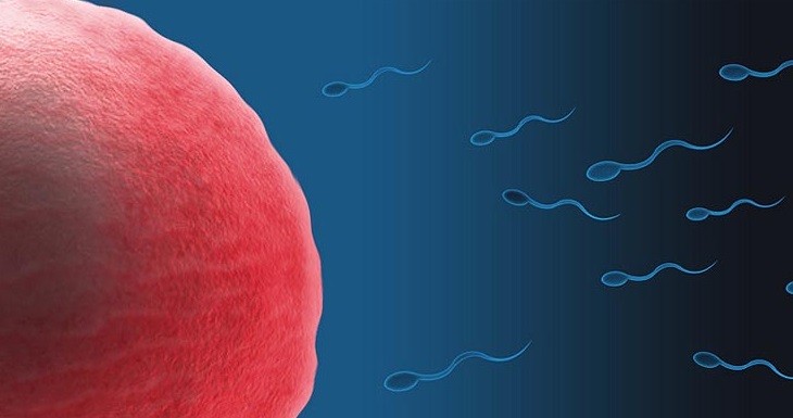 Sperma di Kolam Renang Bisa Bikin Hamil? Ini Faktanya yang Wajib Anda Tahu