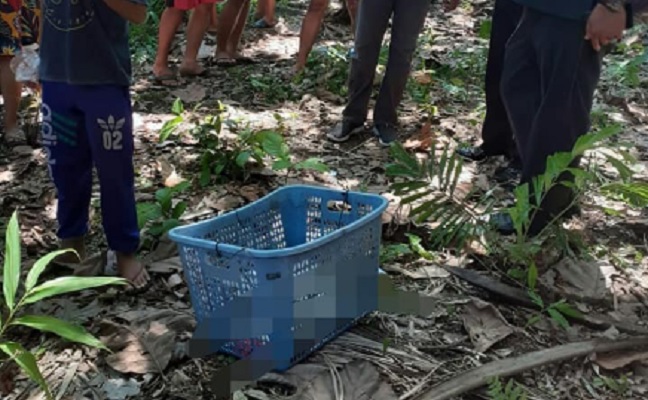 Geger Warga Badung Temukan Orok Bayi Perempuan Nyangkut di Sungai