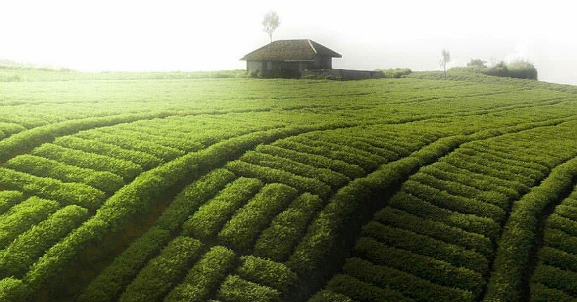 Menikmati Keindahan Alam Dusun Cangar di Kota Batu, Ada Pemandian Air Hangat