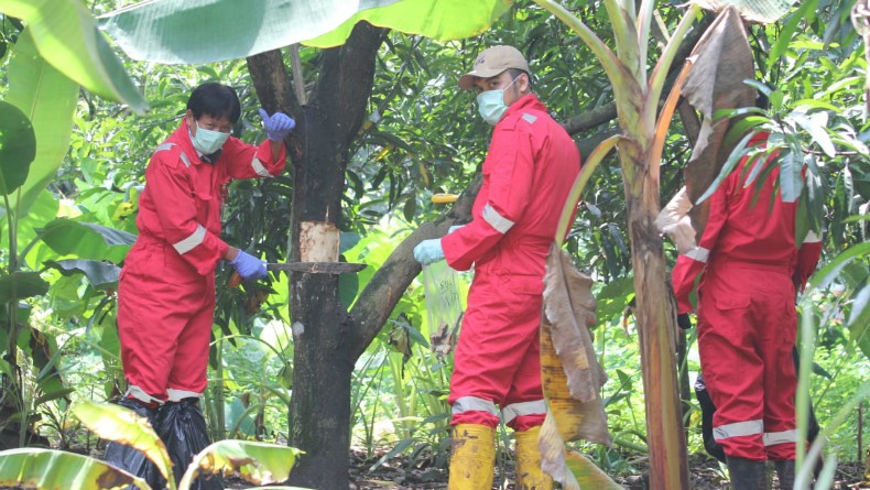 Batan Ambil Sampel Pohon Terpapar Zat Radioaktif di Perumahan Batan Indah