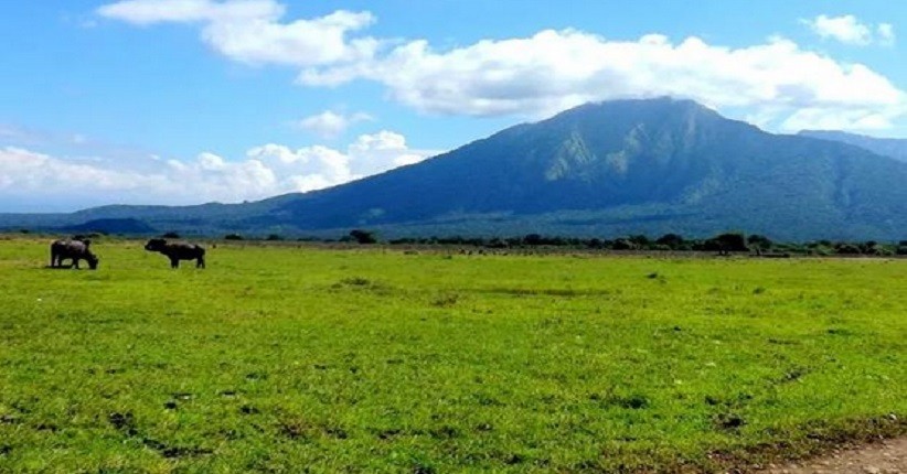 5 Destinasi Pilihan di Dalam Negeri untuk Liburan Seru