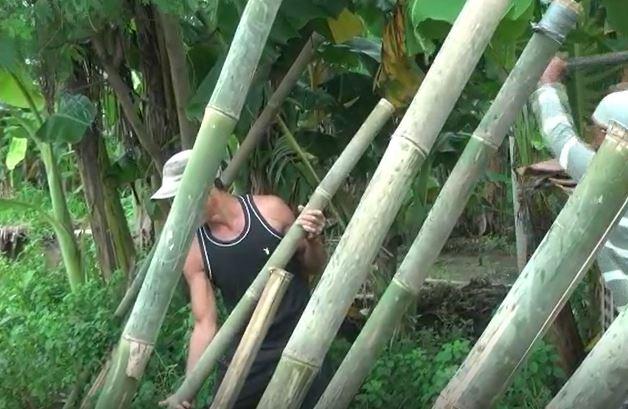 Cegah Longsor, Warga Pasang Ratusan Bambu di Kali Bekasi