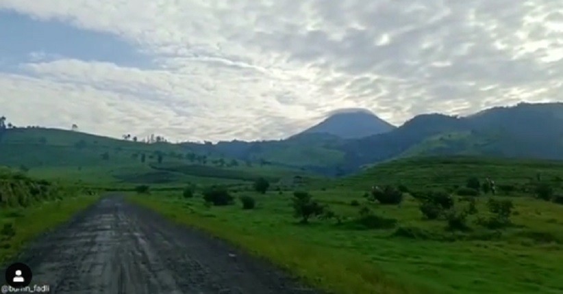 Tidak Kalah dari Ranu Manduro, Perkebunan Teh Kaligua Brebes Terlihat Eksotis Mirip di Luar Negeri