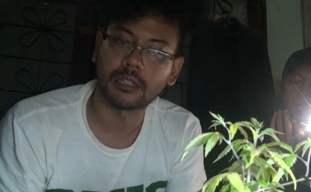 Tanam Ganja di Kontrakan, 3 Pemuda di Dago Bandung Diciduk Polisi