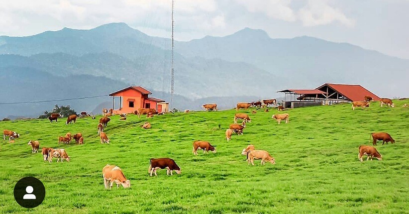 Bukan Ranu Manduro, Pemandangan Mirip New Zealand Ini Ada di Padang Mangatas