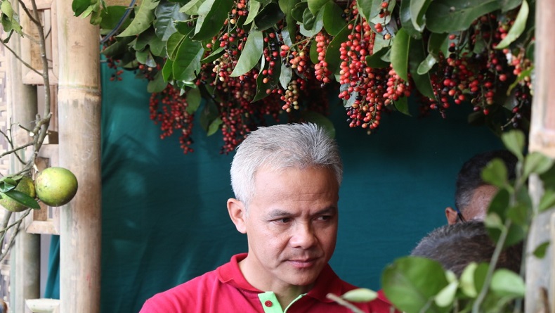 Langka, Buah Wuni Asal Magelang yang Mirip Duwet Tersisa 6 Pohon